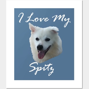 I love my Spitz (American Eskimo Dog) Posters and Art